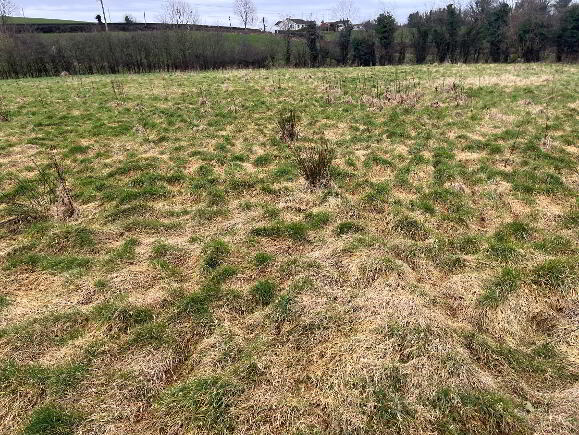 Photo 1 of Tullyraine, Shantonagh, Carrickmacross