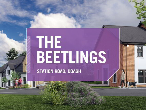 Photo 1 of The Beetlings, Doagh