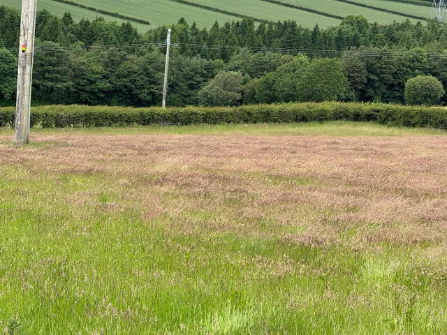 TAMNAHERIN ROAD.jpg