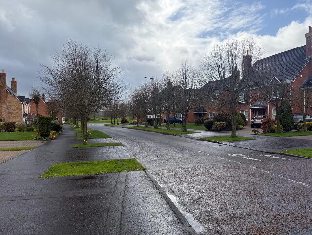 Photo 22 of 50 Rectory Fields, Broughshane, Ballymena