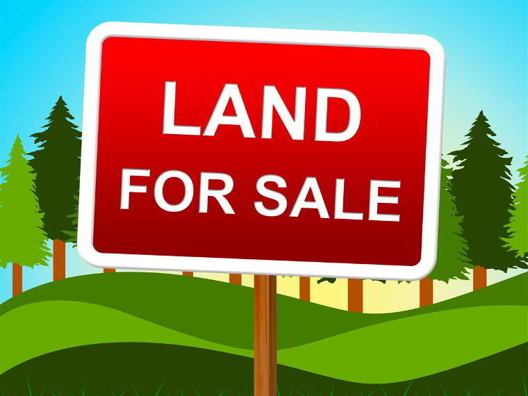 Photo 1 of Land, Drumnaconagher Road, Crossgar, Downpatrick