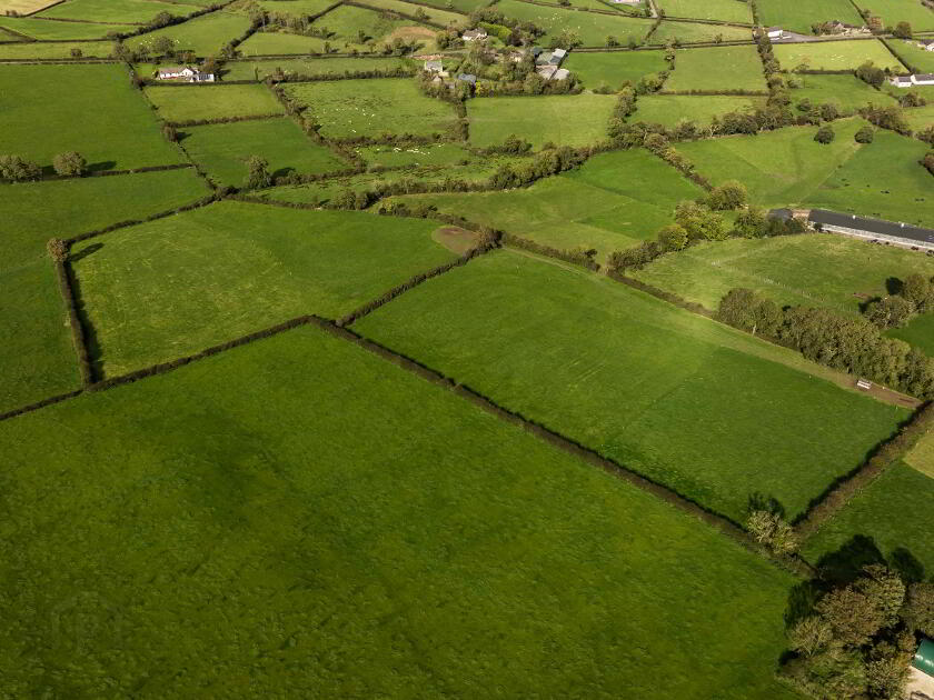 Photo 9 of Farmland Adjacent To 133 Katesbridge Road, Dromara, Dromore