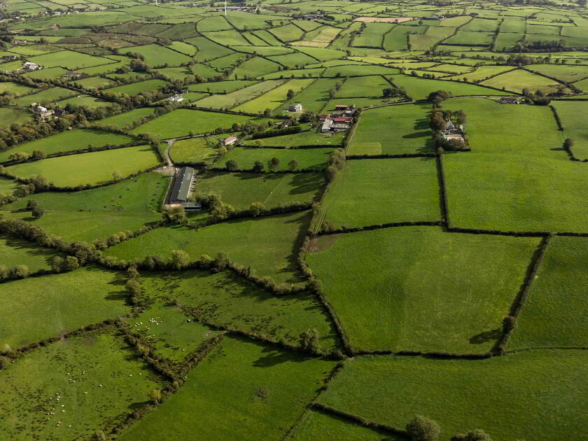 Photo 10 of Farmland Adjacent To 133 Katesbridge Road, Dromara, Dromore