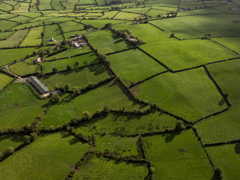 Photo 11 of Farmland Adjacent To 133 Katesbridge Road, Dromara, Dromore