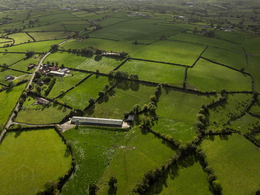 Photo 12 of Farmland Adjacent To 133 Katesbridge Road, Dromara, Dromore