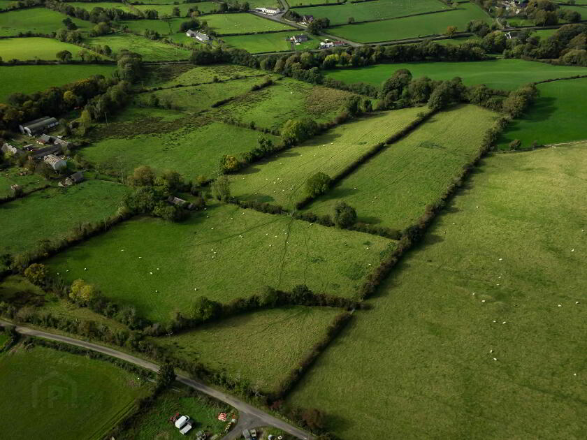 Photo 3 of Lands At Fort Road, Dromara, Dromore