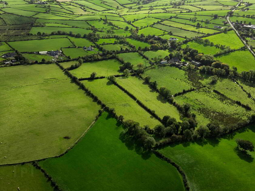 Photo 8 of Lands At Fort Road, Dromara, Dromore