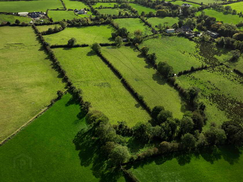 Photo 9 of Lands At Fort Road, Dromara, Dromore