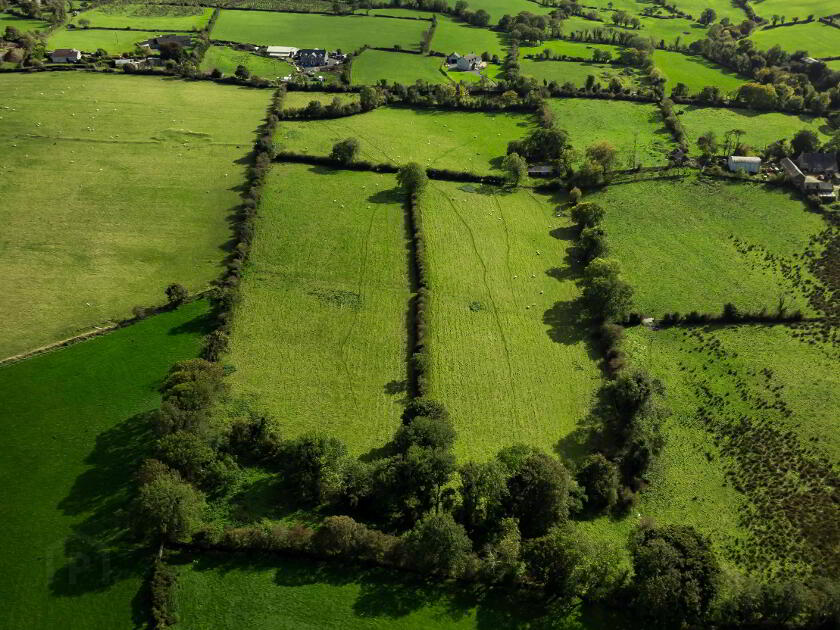 Photo 10 of Lands At Fort Road, Dromara, Dromore
