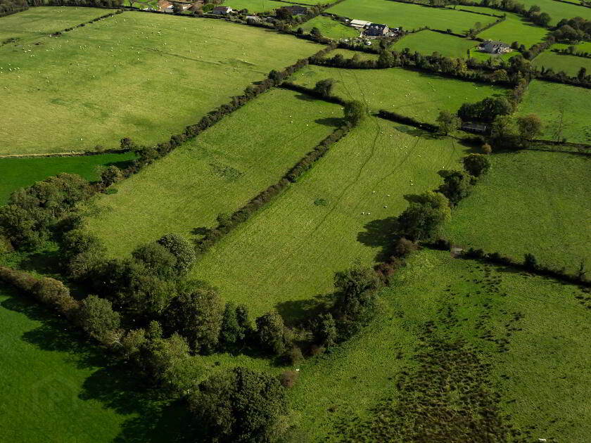 Photo 11 of Lands At Fort Road, Dromara, Dromore