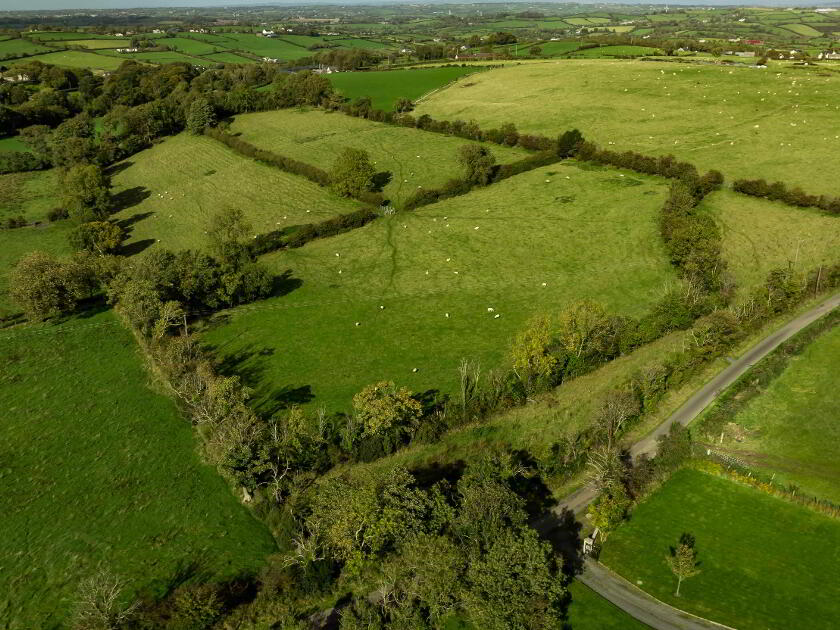 Photo 12 of Lands At Fort Road, Dromara, Dromore
