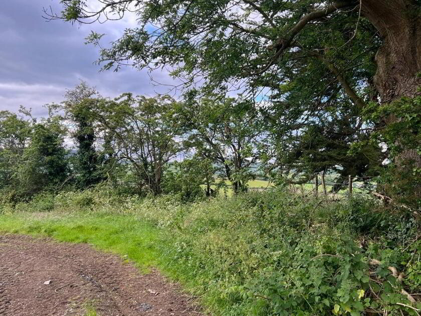 Photo 10 of Building Site 110 Metres East Of 41 Moybrick Road, Dromara