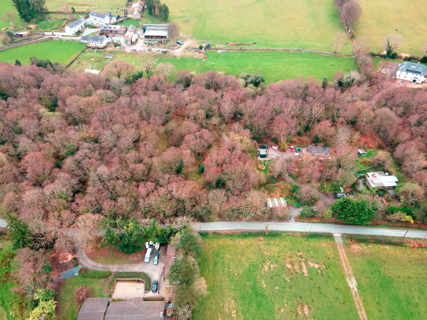 Photo 2 of Bahana, Enniskerry
