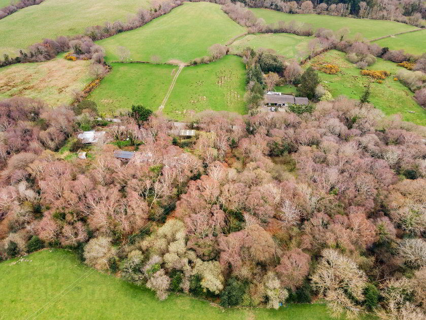 Photo 4 of Bahana, Enniskerry