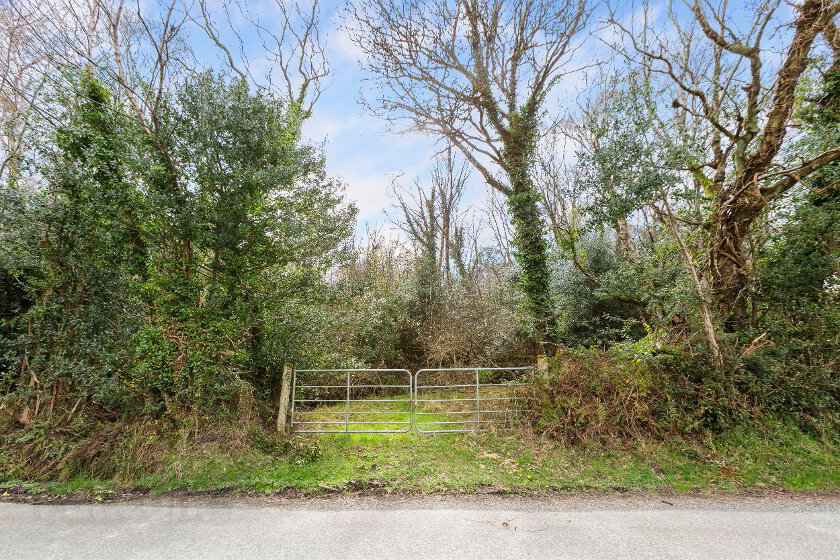 Photo 5 of Bahana, Enniskerry