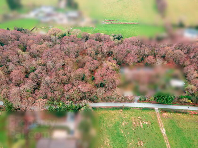 Photo 3 of Bahana, Enniskerry