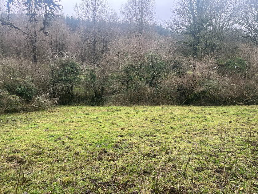 Photo 2 of Lurgandarragh, Drummee Road, Enniskillen