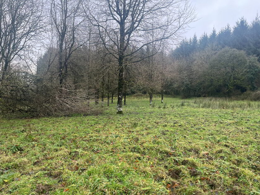 Photo 3 of Lurgandarragh, Drummee Road, Enniskillen