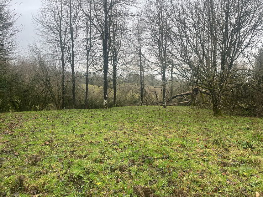 Photo 4 of Lurgandarragh, Drummee Road, Enniskillen