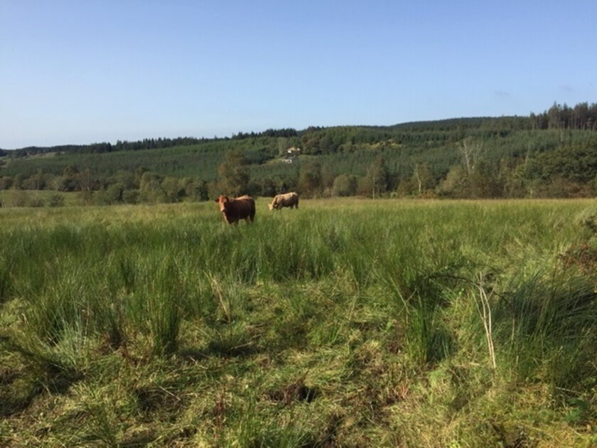Photo 1 of Cornacully Road, Teebunan, Belcoo