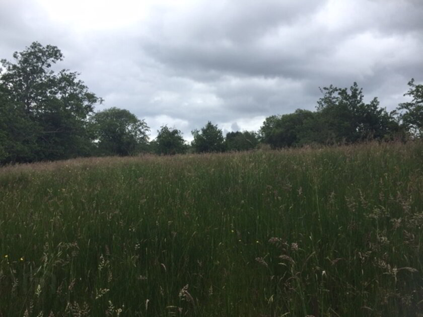 Photo 1 of Tullystranadeega, Garrison
