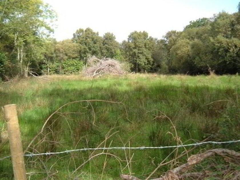 Photo 1 of Drumnasreane Site, Garrison