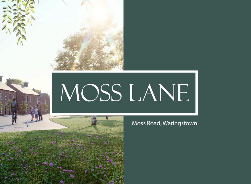 Moss Lane, Waringstown photo