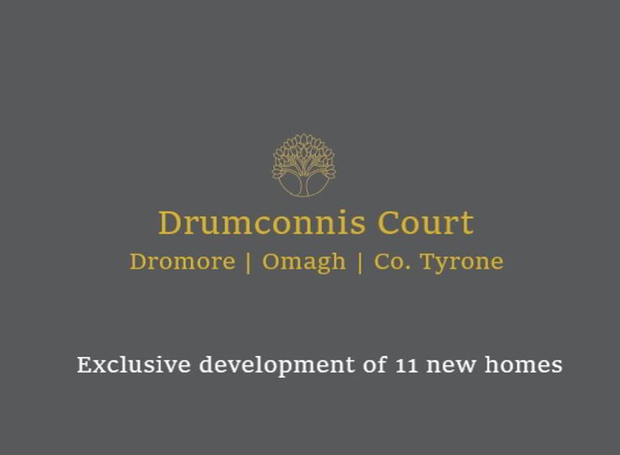 Drumconnis Court, Omagh Road, Dromore photo