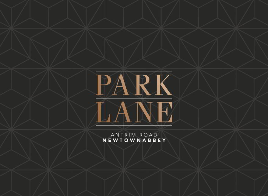Park Lane, Antrim Road, Newtownabbey photo