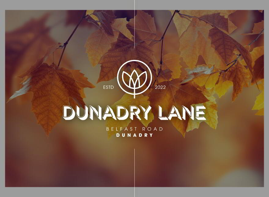 Dunadry Lane, Belfast Road, Dunadry photo