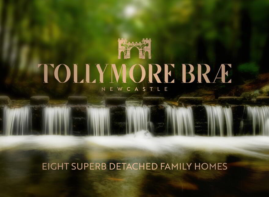 Tollymore Brae, Newcastle photo