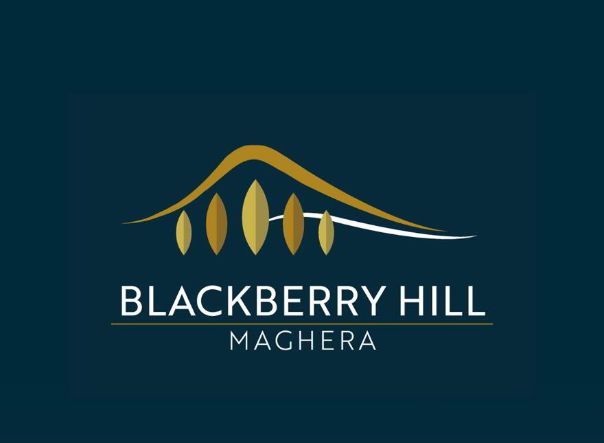 Blackberry Hill, Coleraine Road, Maghera photo