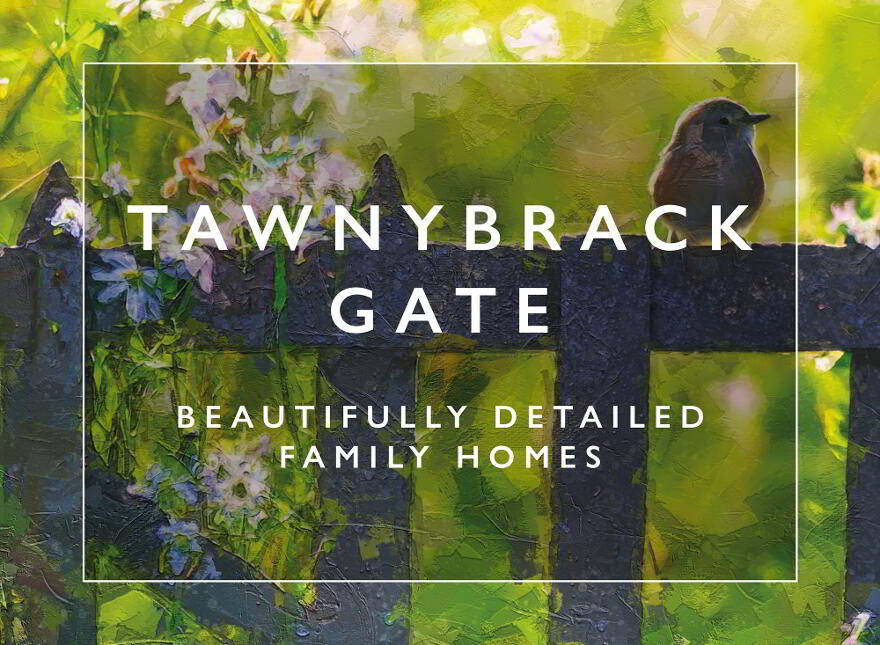 Tawnybrack Gate, Craigstown Road, Connor photo