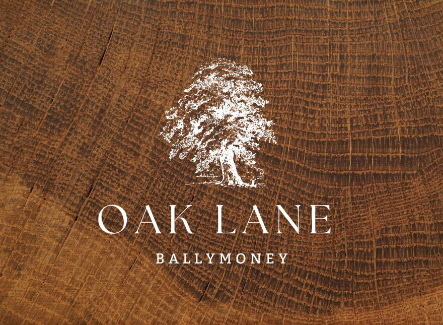 Oak Lane, Market Street, Ballymoney photo