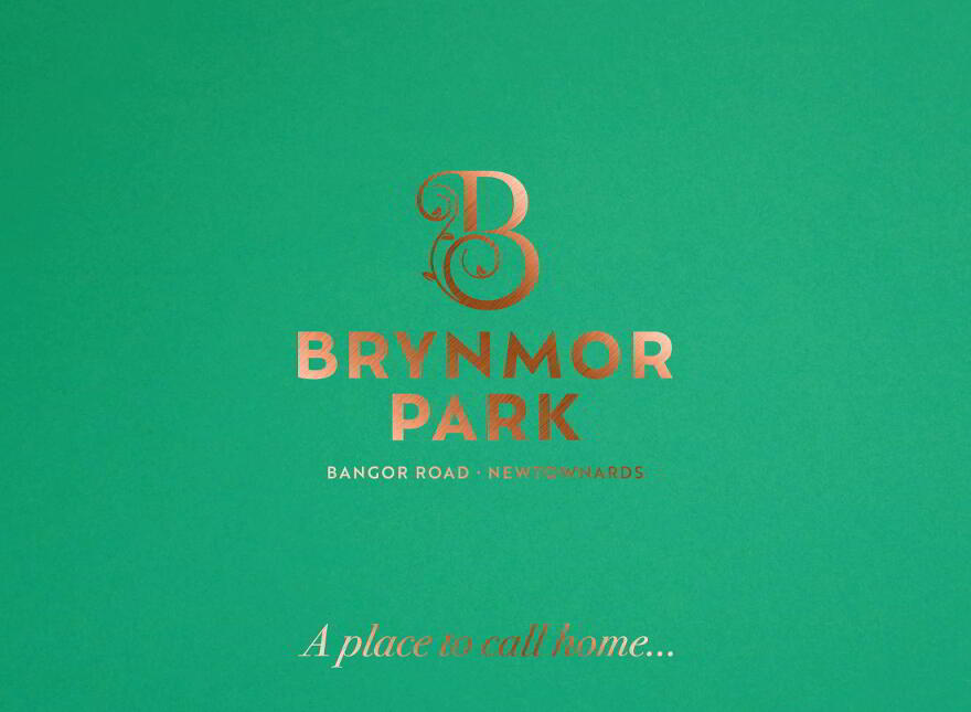 Brynmor Park, Bangor Road, Newtownards photo