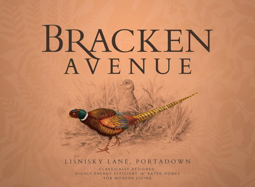 Bracken Avenue, Portadown, Portadown photo