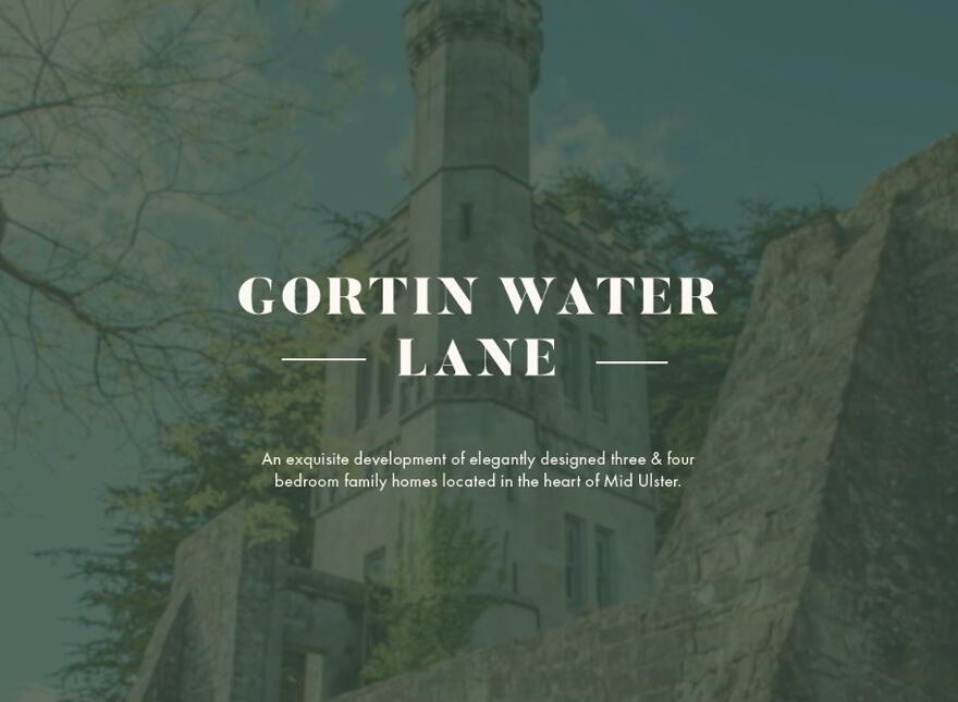 Gortin Water Lane, Drumearn Road, Orritor, Cookstown photo
