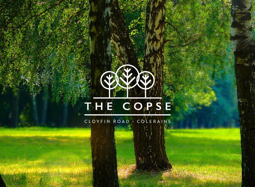 The Copse, Cloyfin Road, Coleraine photo