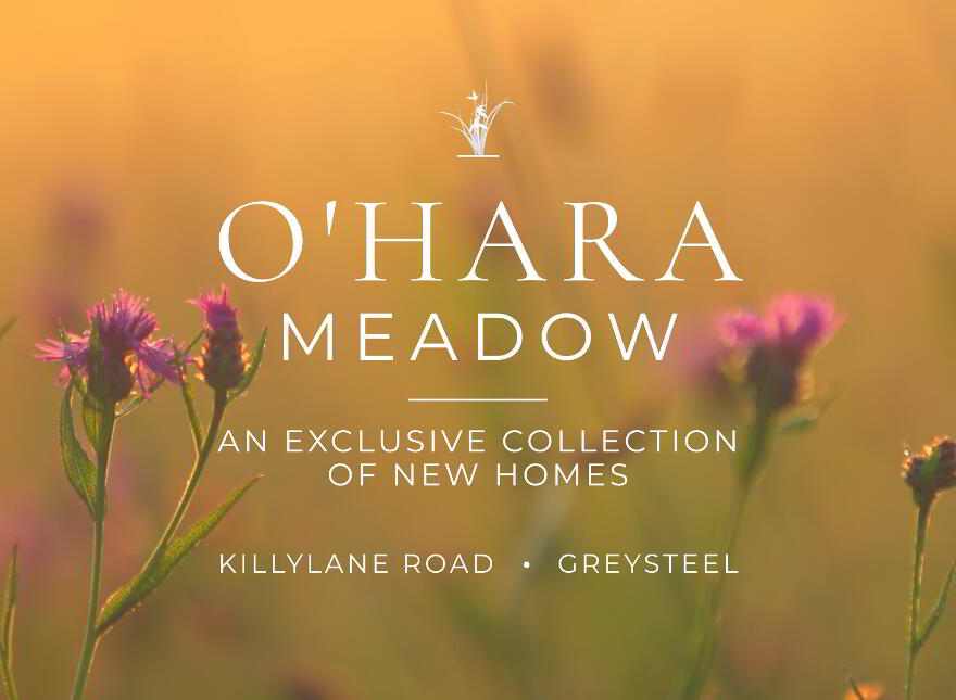 O'Hara Meadows, Killylane Road, Greysteel photo