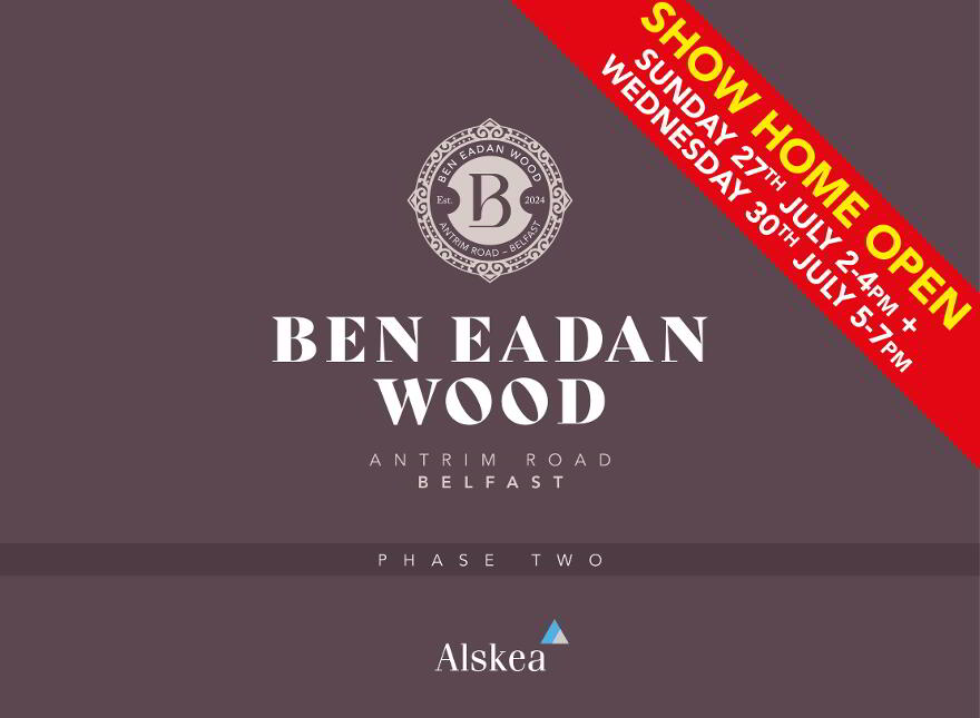 Ben Eadan Wood, Antrim Road, Belfast photo