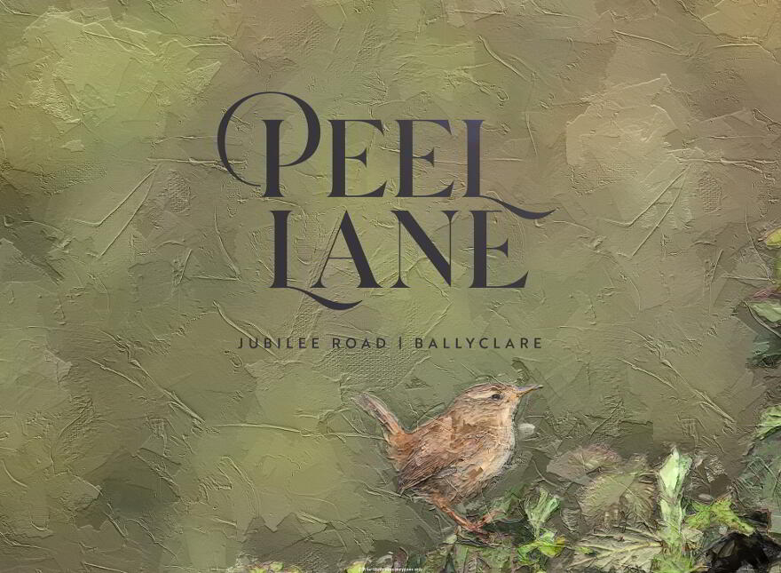 Peel Lane, Jubilee Road, Ballyclare photo