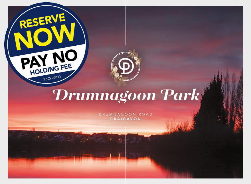 Drumnagoon Park, Lurgan, Portadown, Craigavon photo