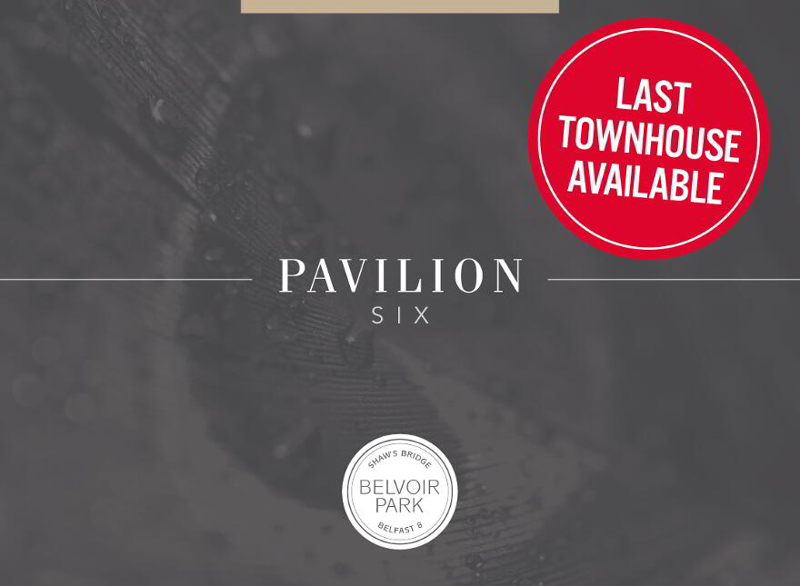 Pavilion Six, Belvoir Park, Shaw's Bridge, Belfast