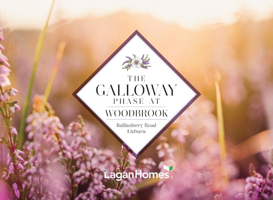 The Galloway At Woodbrook, Ballinderry Road, Lisburn photo