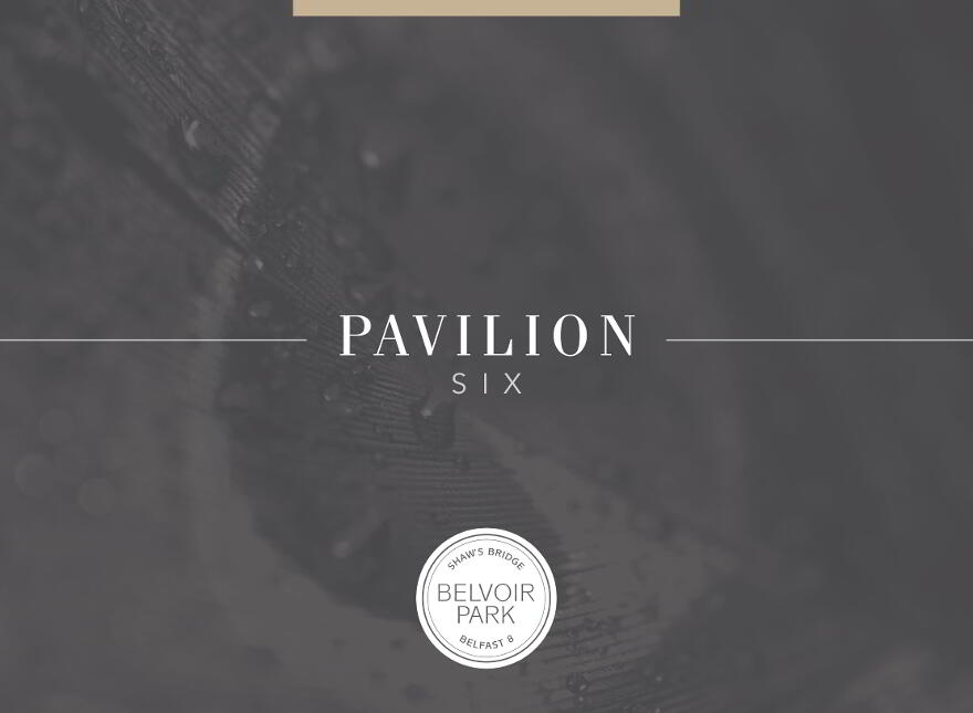 Pavilion Six, Belvoir Park, Shaw's Bridge, Belfast photo