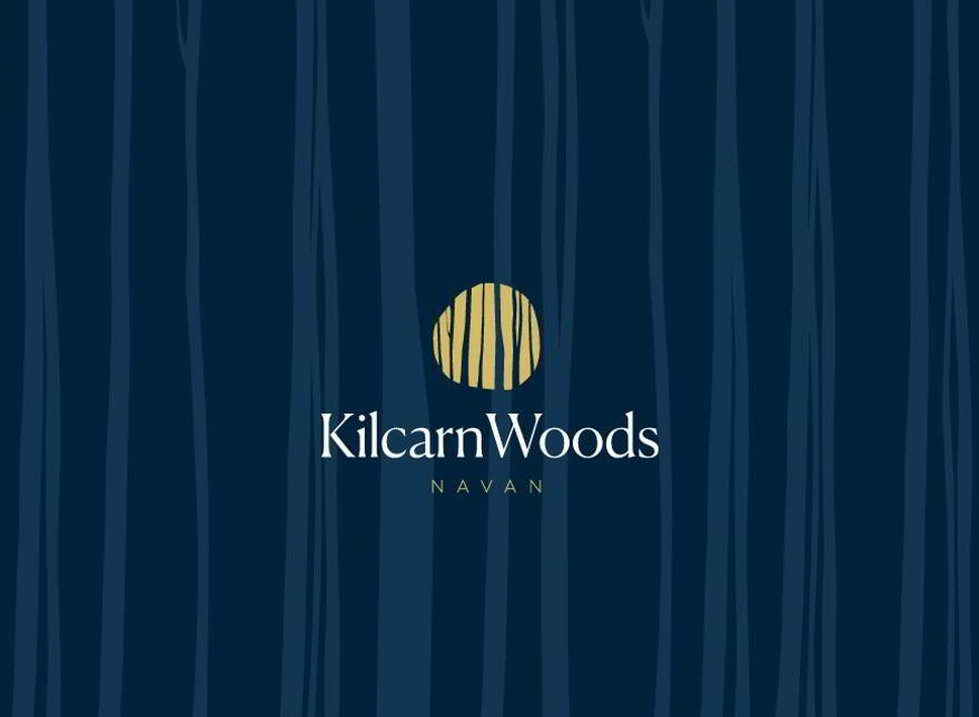 Kilcarn Woods, Navan photo