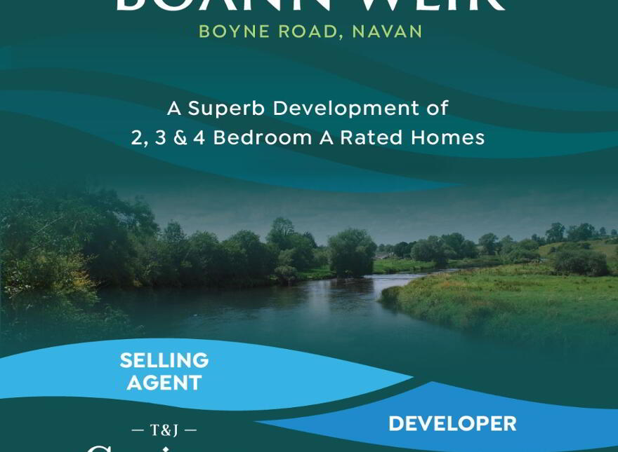 Boann Weir, Boyne Road, Boyne Road, Navan photo