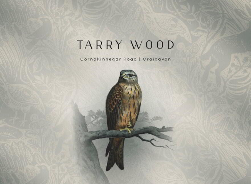 Tarry Wood, Lurgan photo