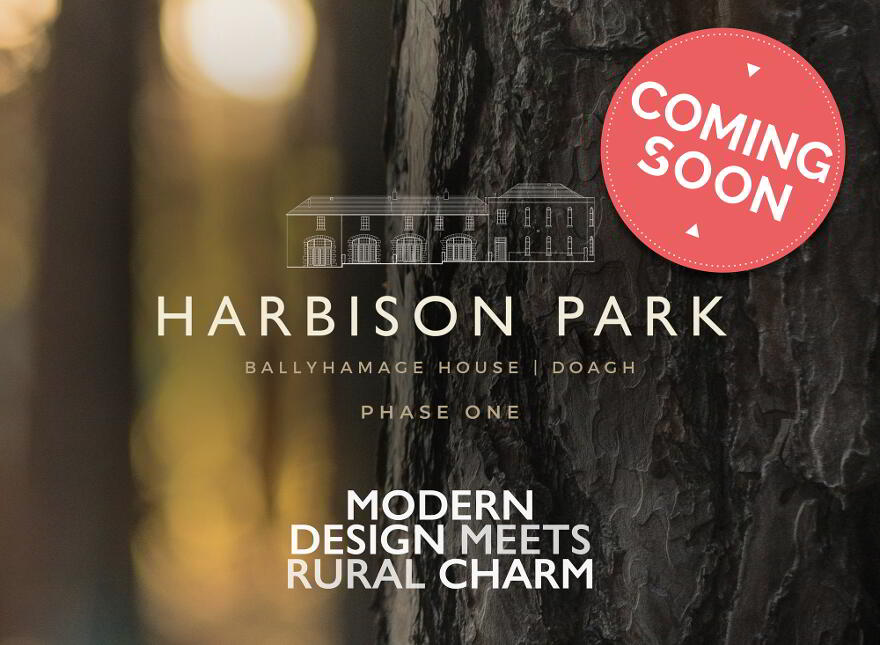 Harbison Park, The Burn Road, Doagh photo
