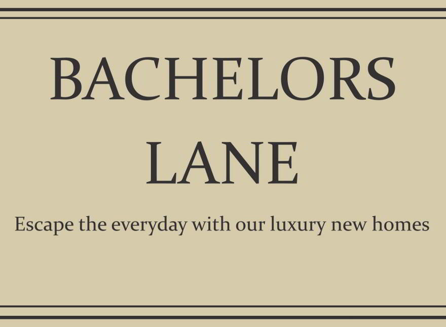 Bachelors Lane, Portadown photo
